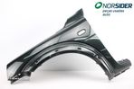 Guarda lamas esquerdo Land Rover Freelander|98-03 - 1