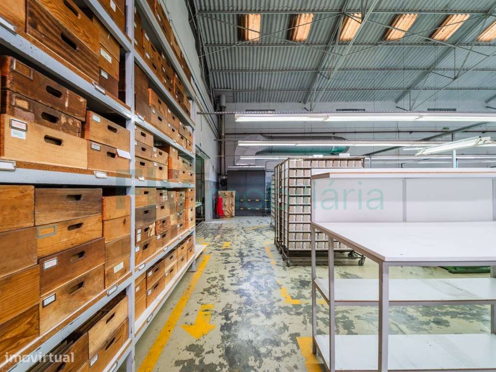 Pavilhão Industrial em Felgueiras - Excelente Oportunidade de Inves...-10