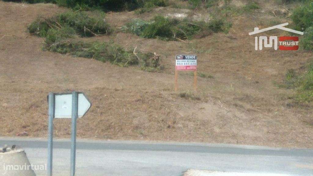 Terreno Rústico - Almoster - Grande imagem: 4/7