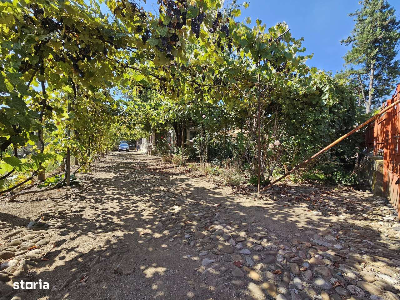 Casa in Șotânga, Teiș-9