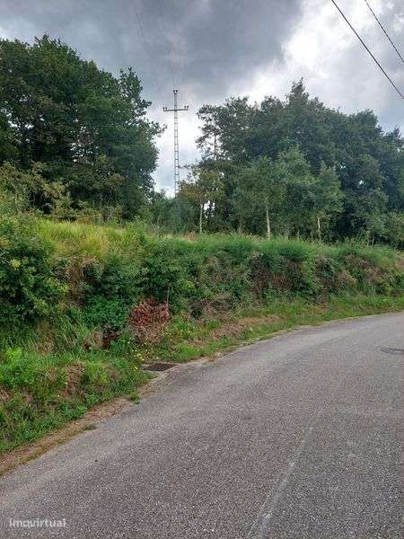 Terreno com 3500m2 em Coura - Grande imagem: 2/6