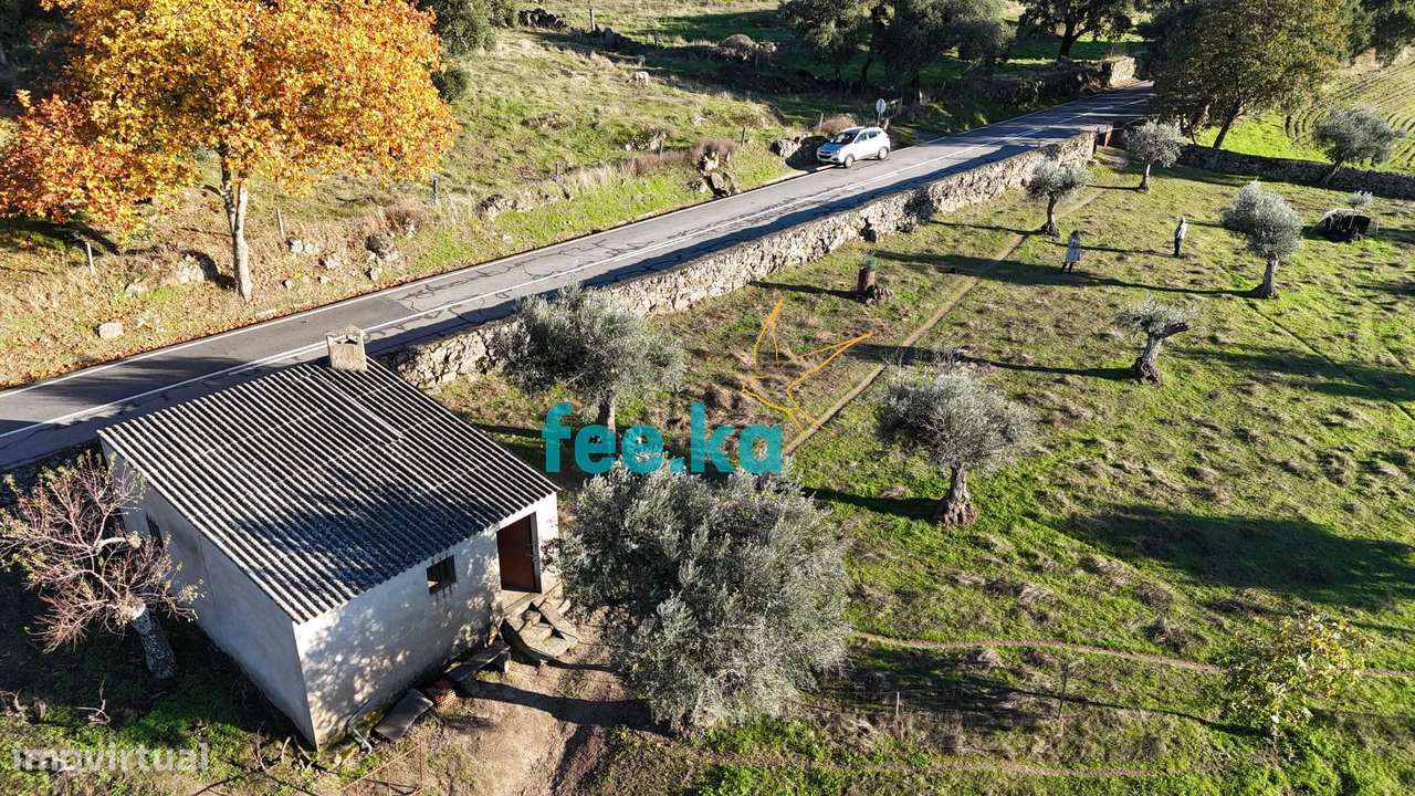 Quinta em Escalos de Baixo-33