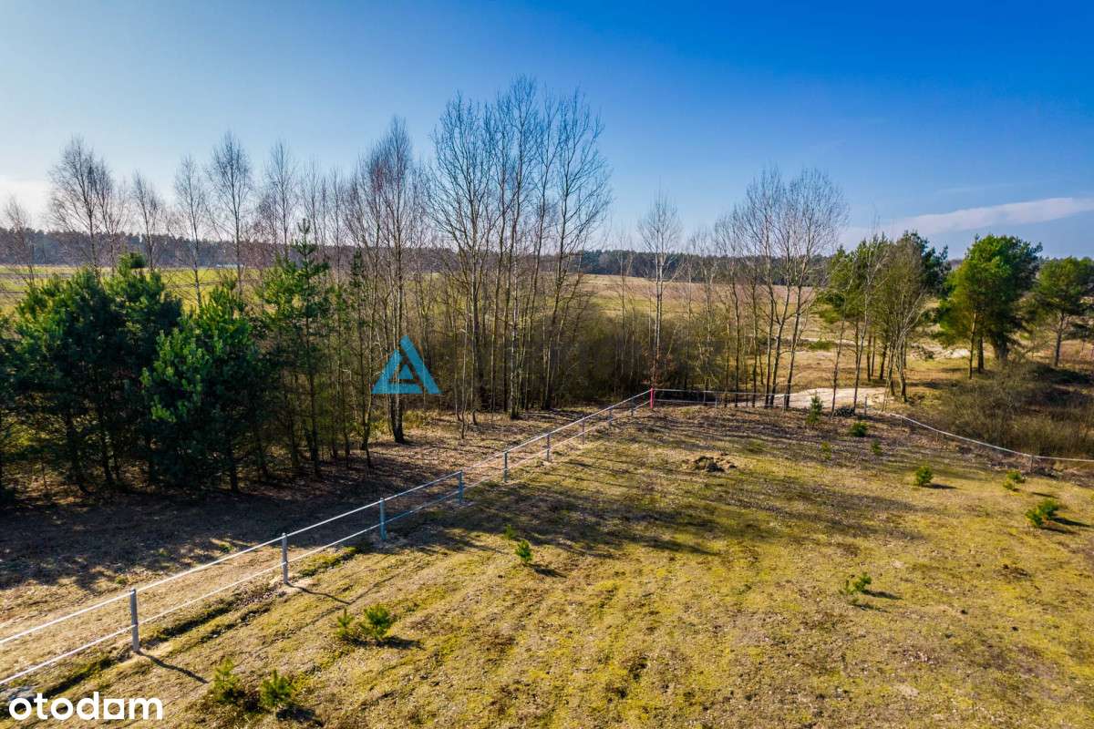 Działka z potencjałem w otulinie lasu, jezior! - Pełny obrazek: 4/19