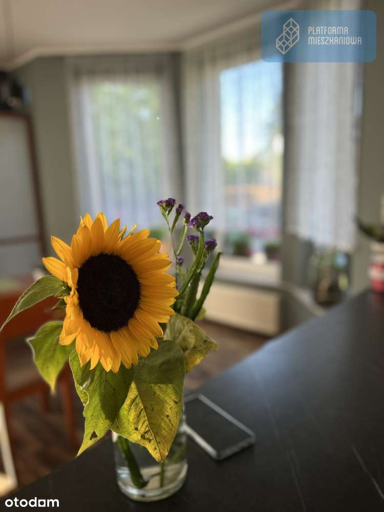 Dom jednorodzinny pod poznaniem  - 100m2 - Pełny obrazek: 5/14