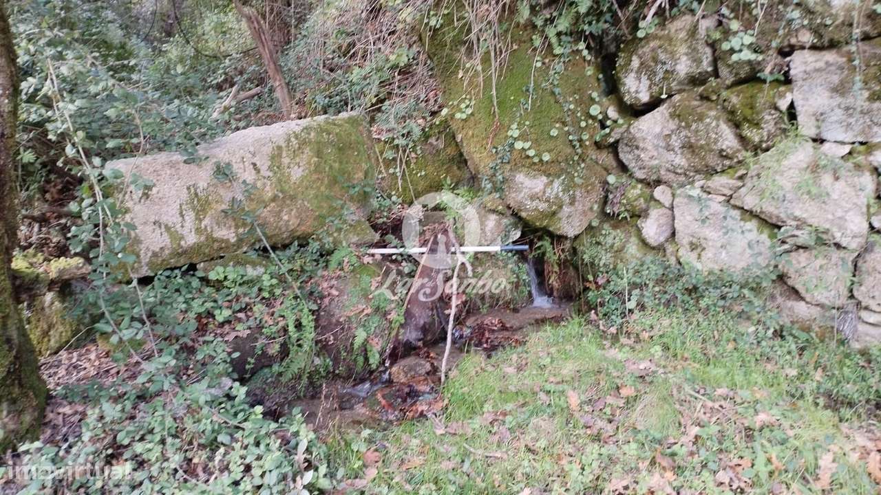 Terreno para Venda no Parque Natural do Gerês - Ideal para Plantaçã... - Grande imagem: 5/9