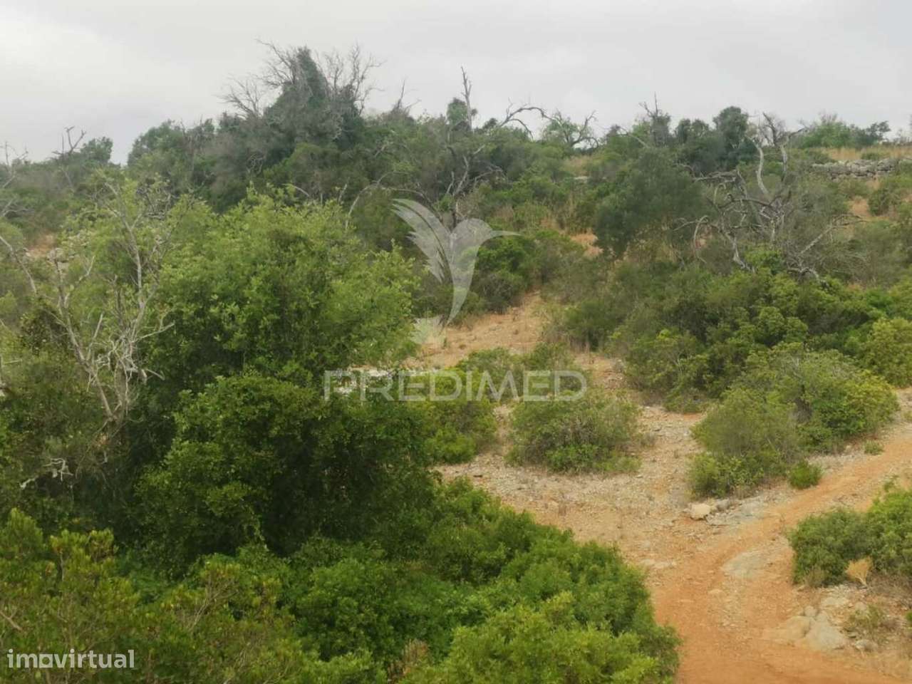 Terreno misto perfeito para a sua casa de sonho - Grande imagem: 5/23