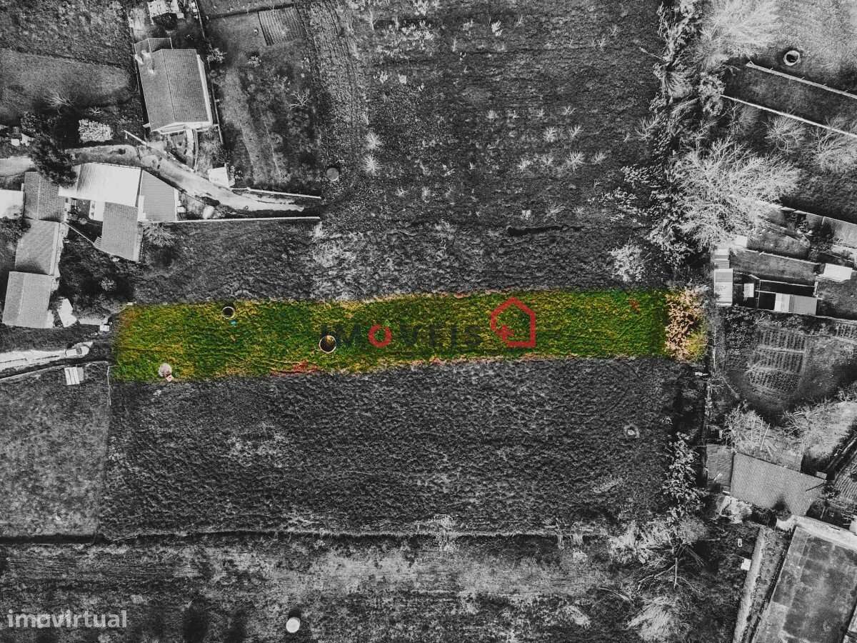 Terreno fértil e soalheiro - a 5 min. de Leiria - Grande imagem: 3/8