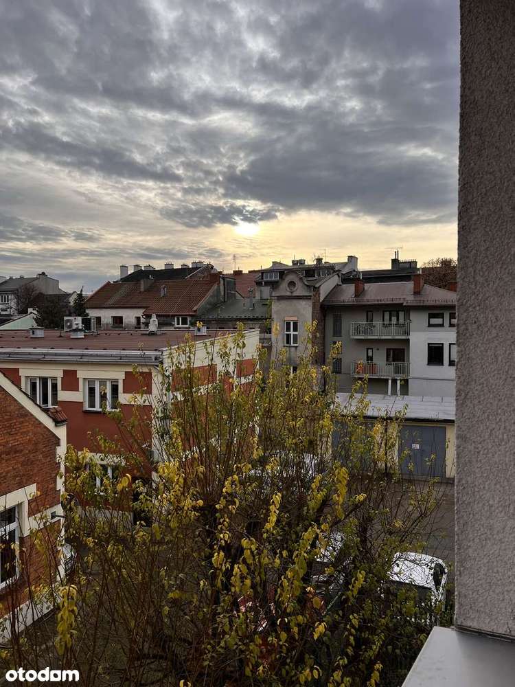 Kawalerka na Salwatorze - Pełny obrazek: 4/11