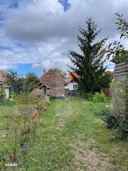 Casa taraneasca in centrul localitatii Ilieni – teren 832 mp. - Imagine principală: 3/6