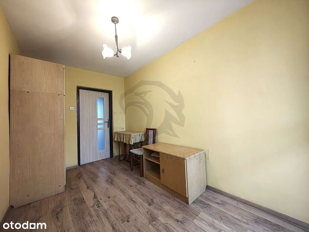 Uwaga! Tu skaczą Gumisie nie lokatorzy-15