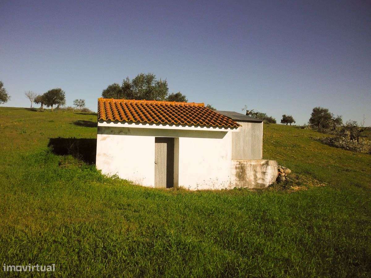 Terreno Rústico - Grande imagem: 4/8