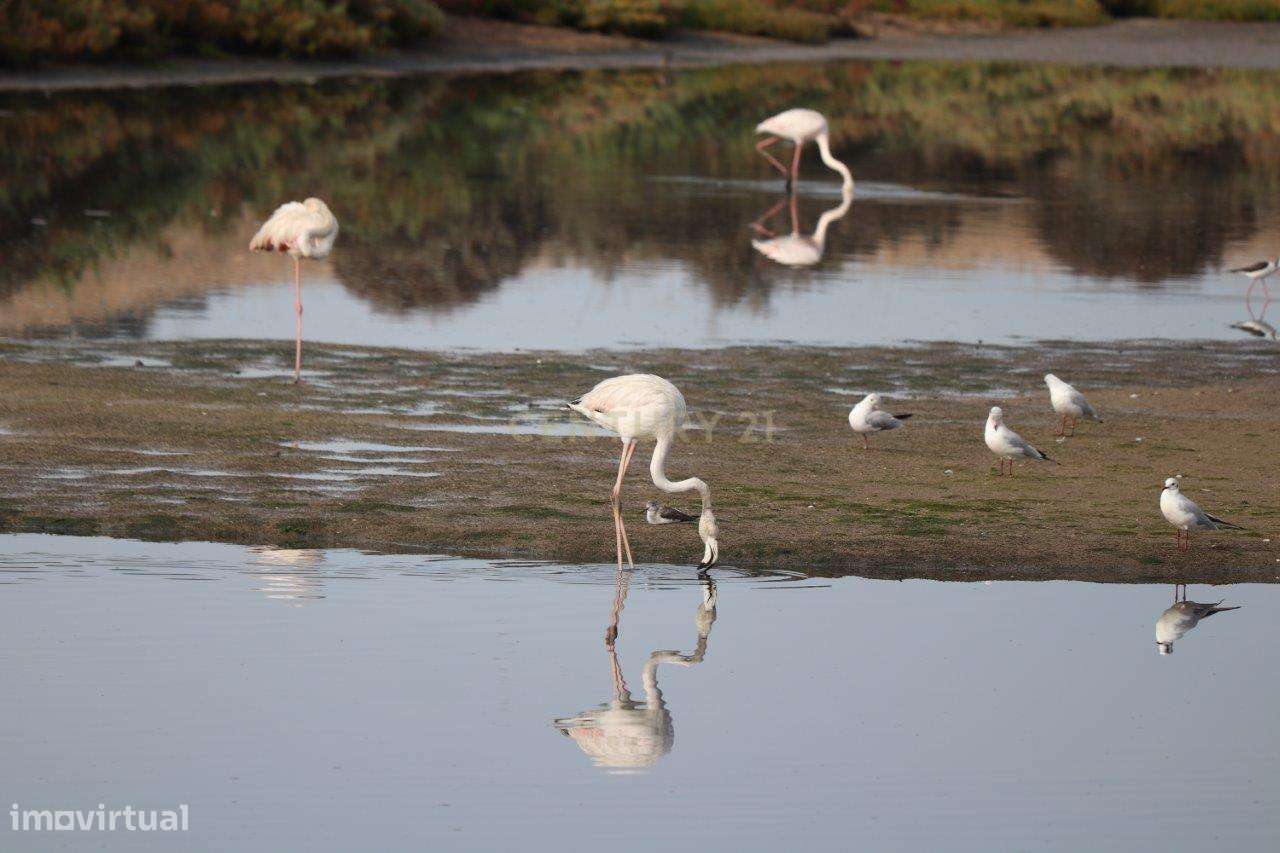 Quinta Espetacular Em Lagos - Grande imagem: 5/15