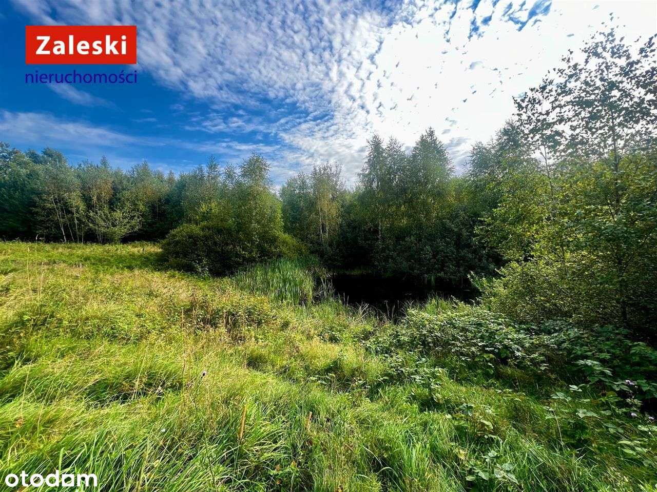 Działka pod agroturystykę lub własną oazę spokoju.-6