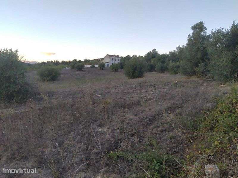 Terreno misto para construção - Grande imagem: 4/5