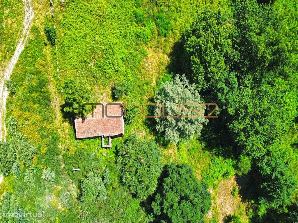 Quinta isolada - Amarante-34