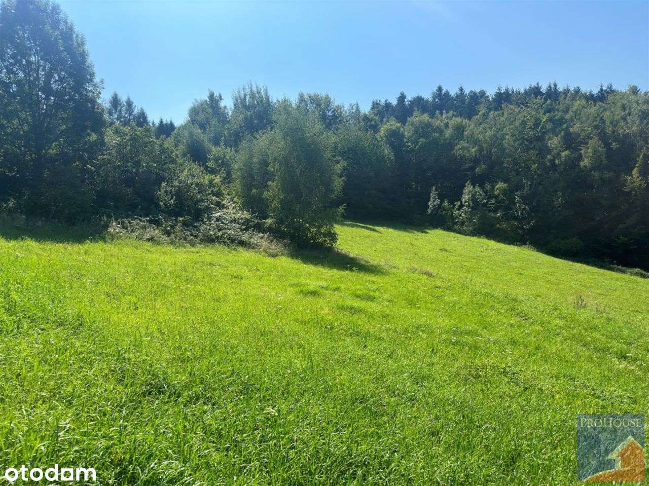 Dom, 100 m², Koszary-4