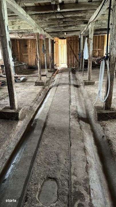 Spatiu industrial 5 camere zona Bradu - Sibiu - Imagine principală: 4/6