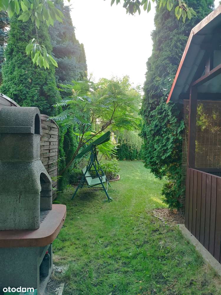 TYLKO U NAS Ładna działka ROD z domkiem murowanym ocieplonym, 2 pokoje-7