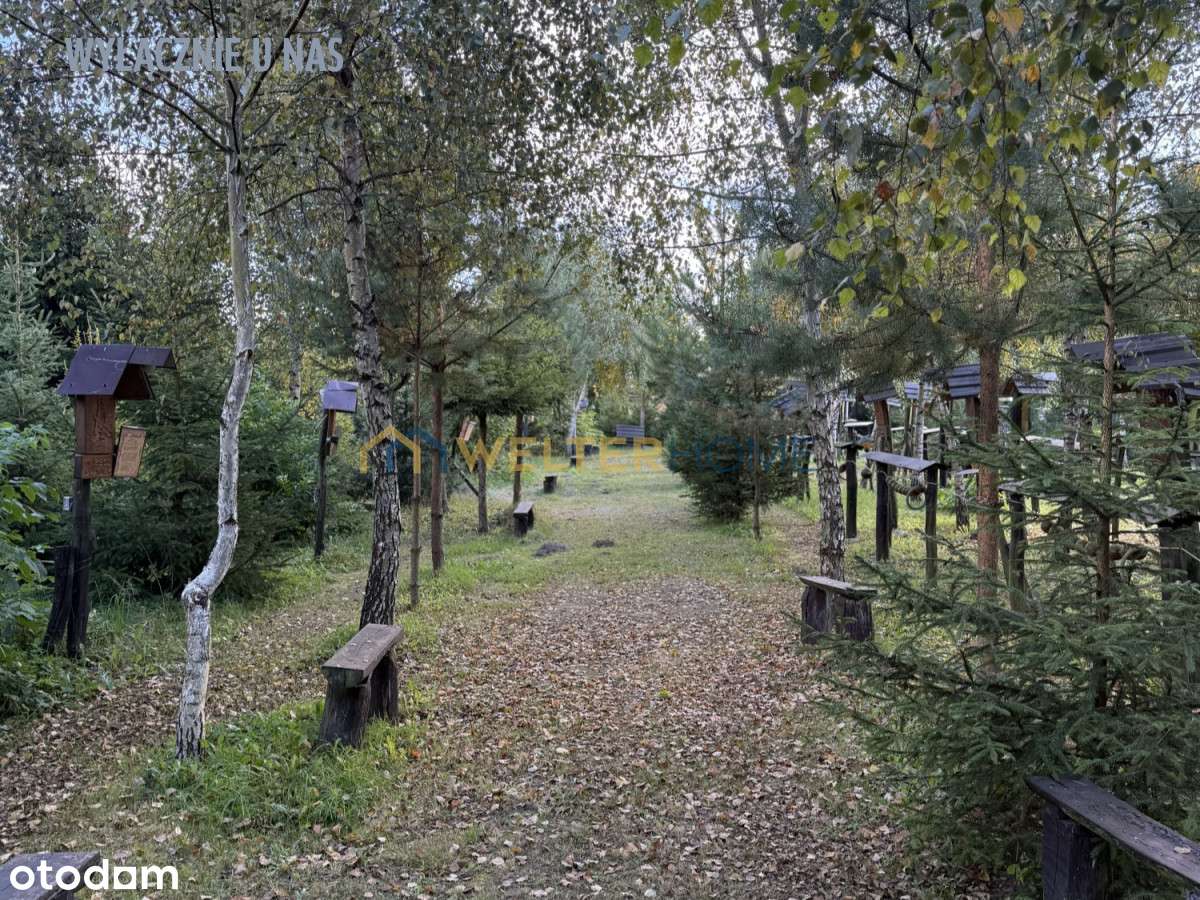 Nieruchomość w otulinie zieleni i lasu-16