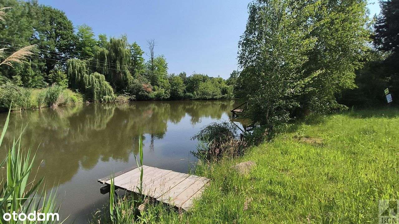Działka budowlana ze stawem Oborniki Śląskie.-0