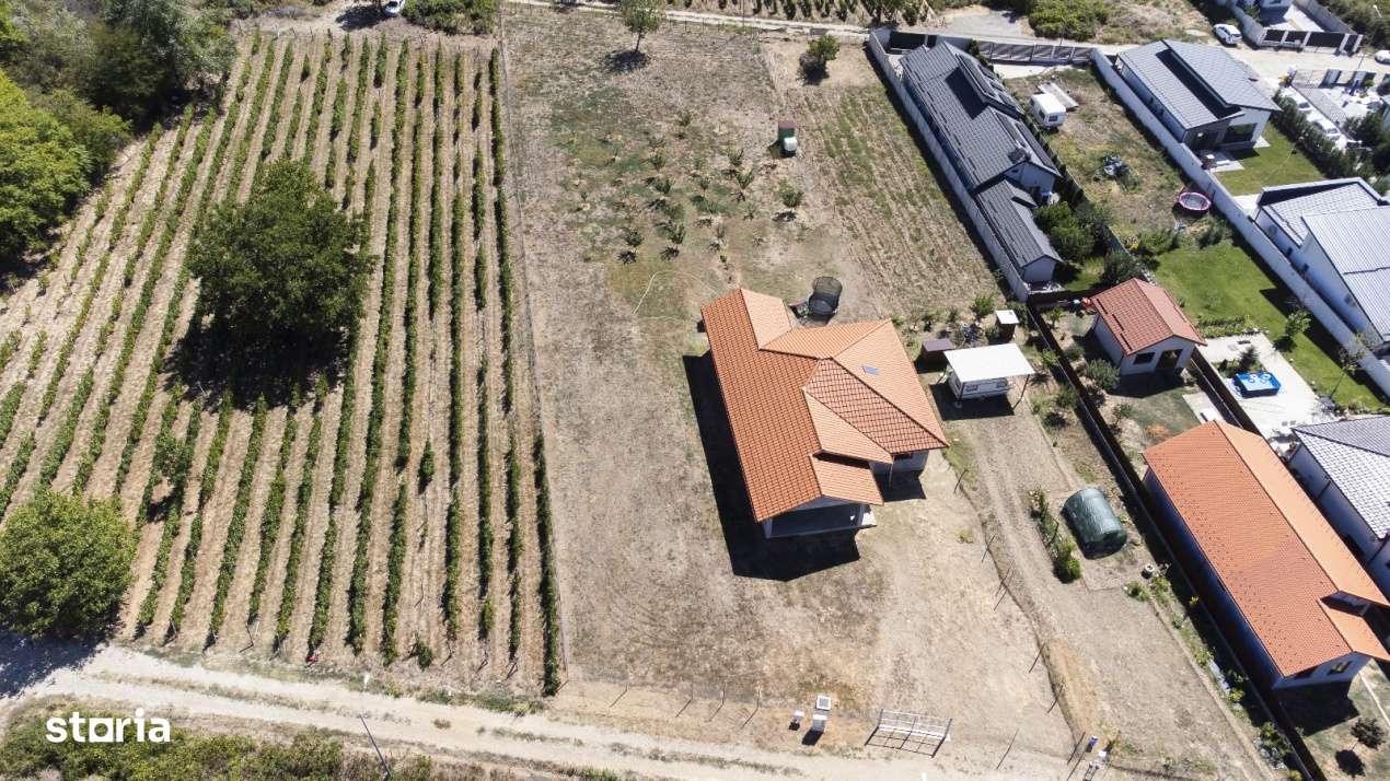 Oportunitate dezvoltare rezidentiala – teren 2000 mp intravilan-3