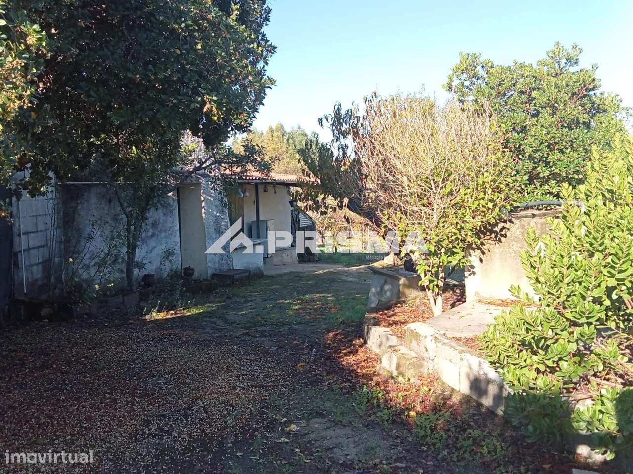 Quintinha para venda com construção rural para venda em Escalos de Bai-33