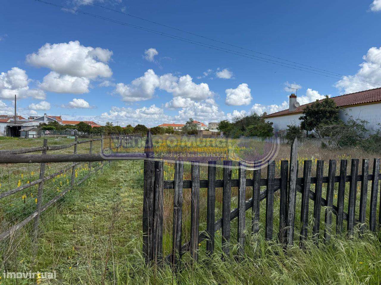 Terreno em Marinhais (M815) - Grande imagem: 2/11