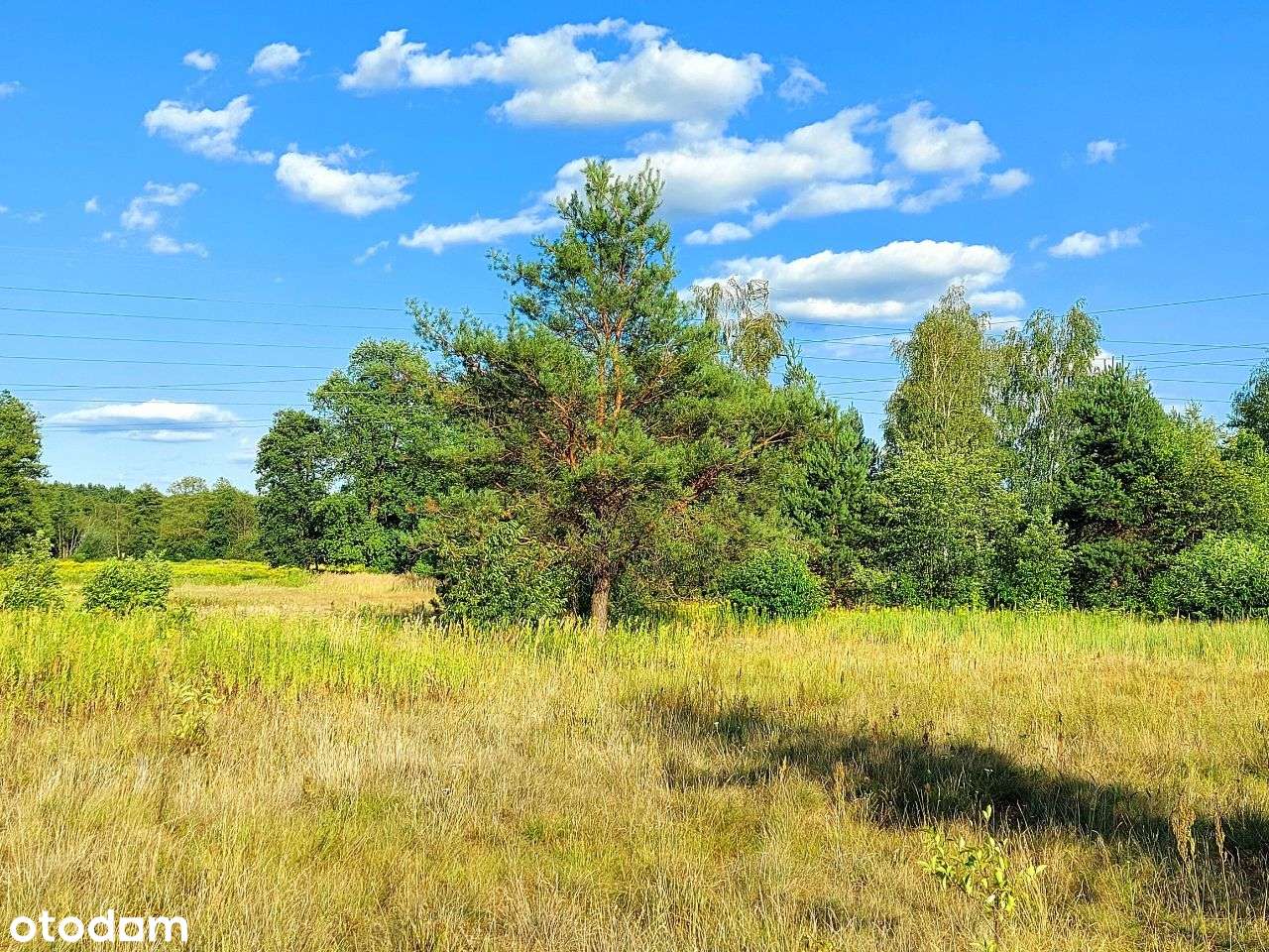 Do sprzedania piękna działka budowlana w Żanęcinie-7