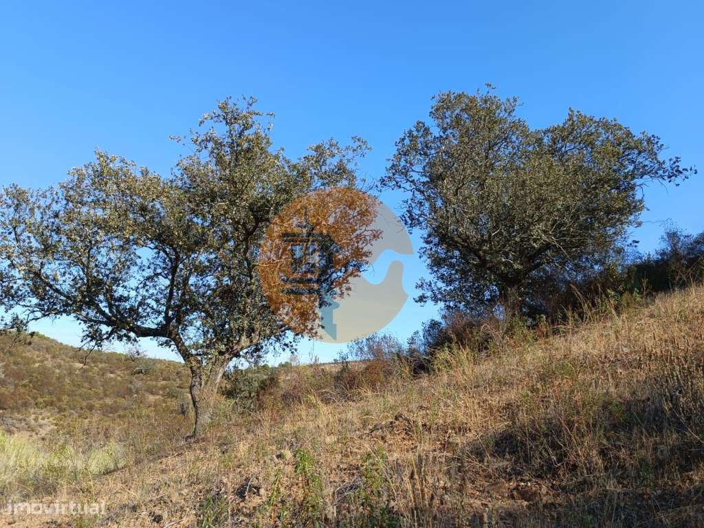 TERRENO RUSTICO COM 11.000 M2 - BONS ACESSOS - ALCARIAS GRANDES - C... - Grande imagem: 5/56