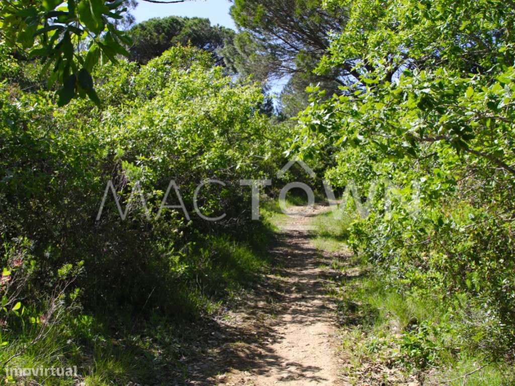 Terreno rústico na Chamboeira - Bucelas - Grande imagem: 4/24