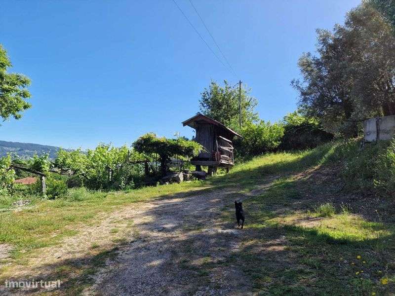 Quinta com moradia t3 - Grande imagem: 5/12