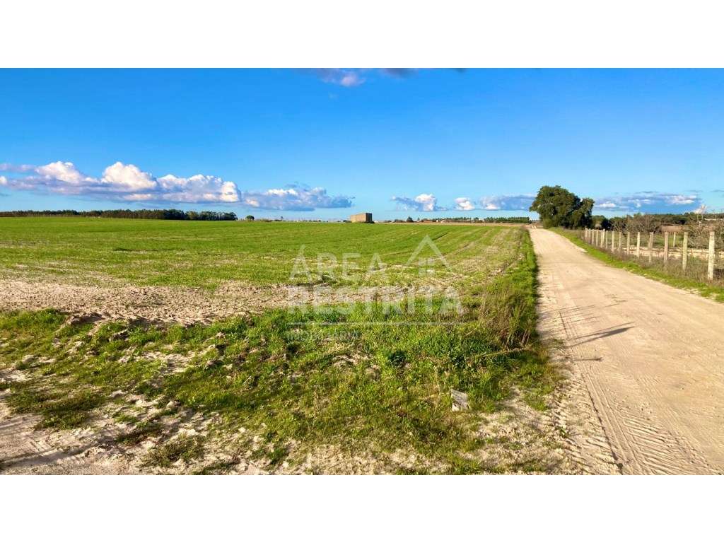 Terreno de 31250 m2 (3 ha) - Faias (Palmela) - Grande imagem: 4/24