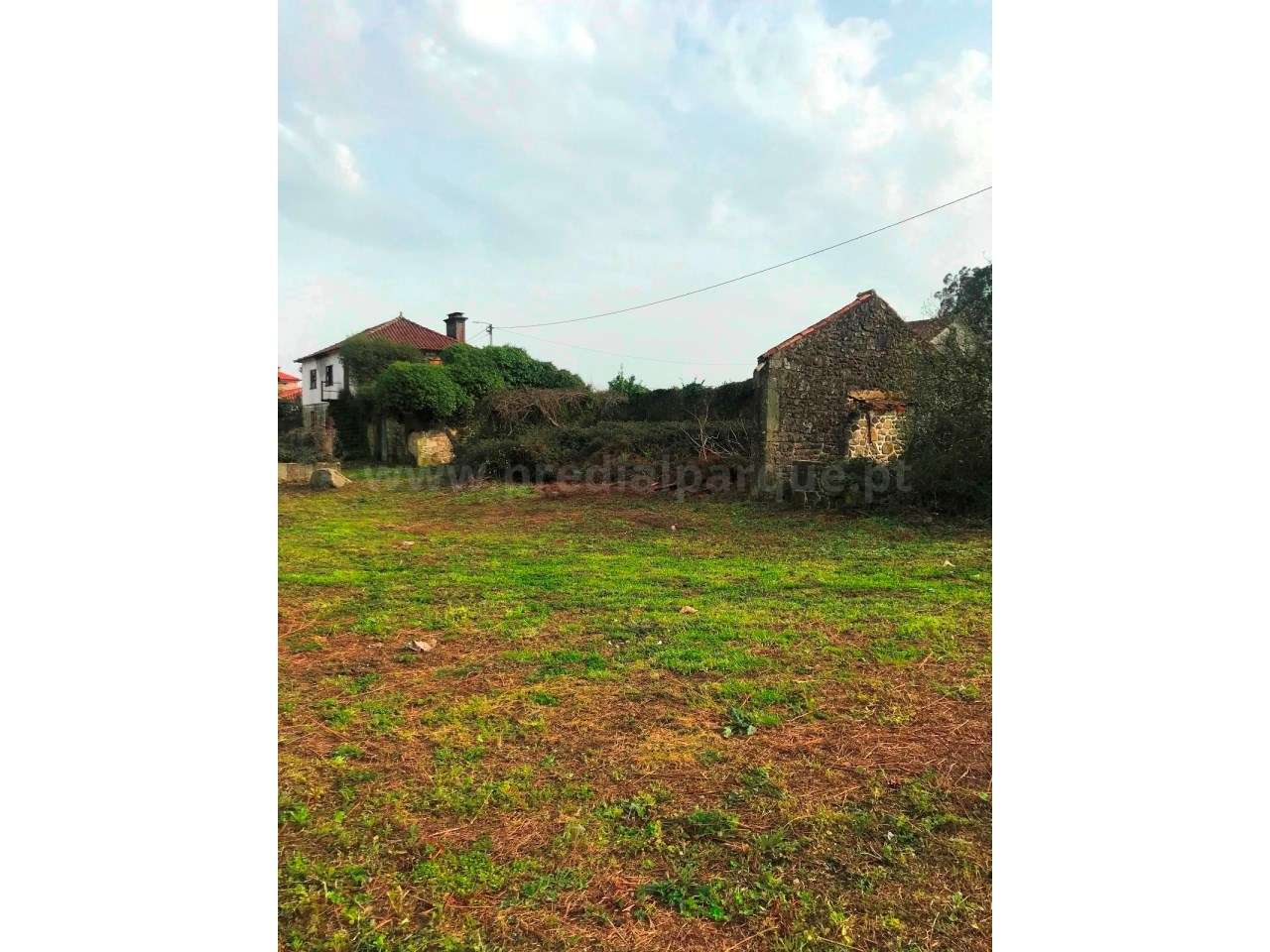 Quinta em Barcelos - Grande imagem: 4/5