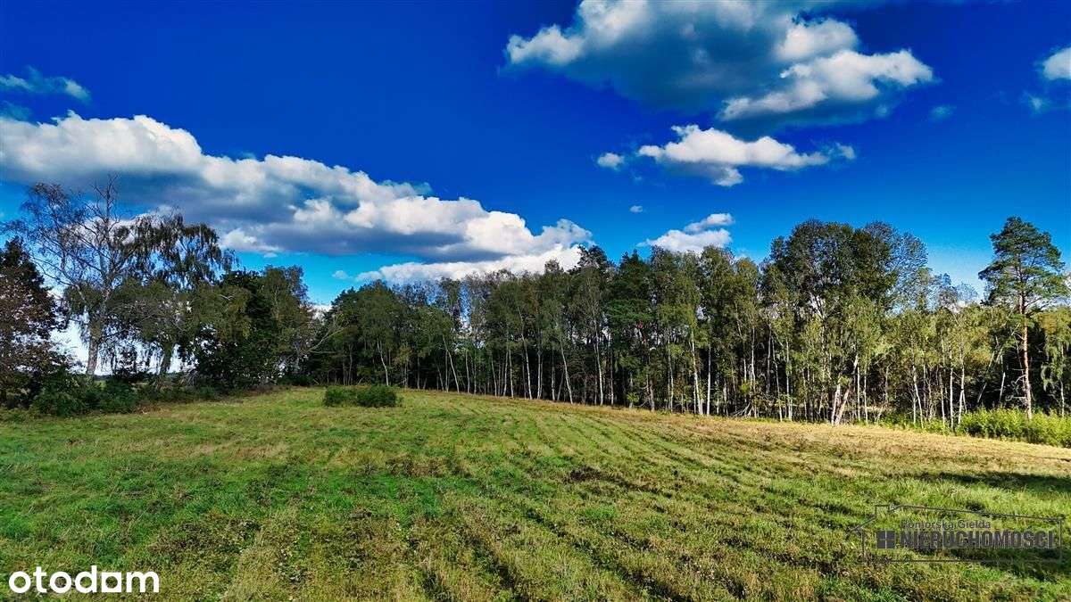 Pod Lasem Ok. 300 M Od Jeziora Pile - Dąbrowica --17