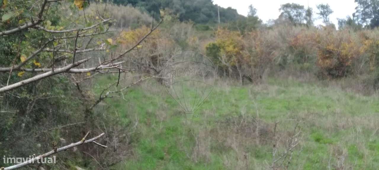 Terreno  para venda - Grande imagem: 2/11