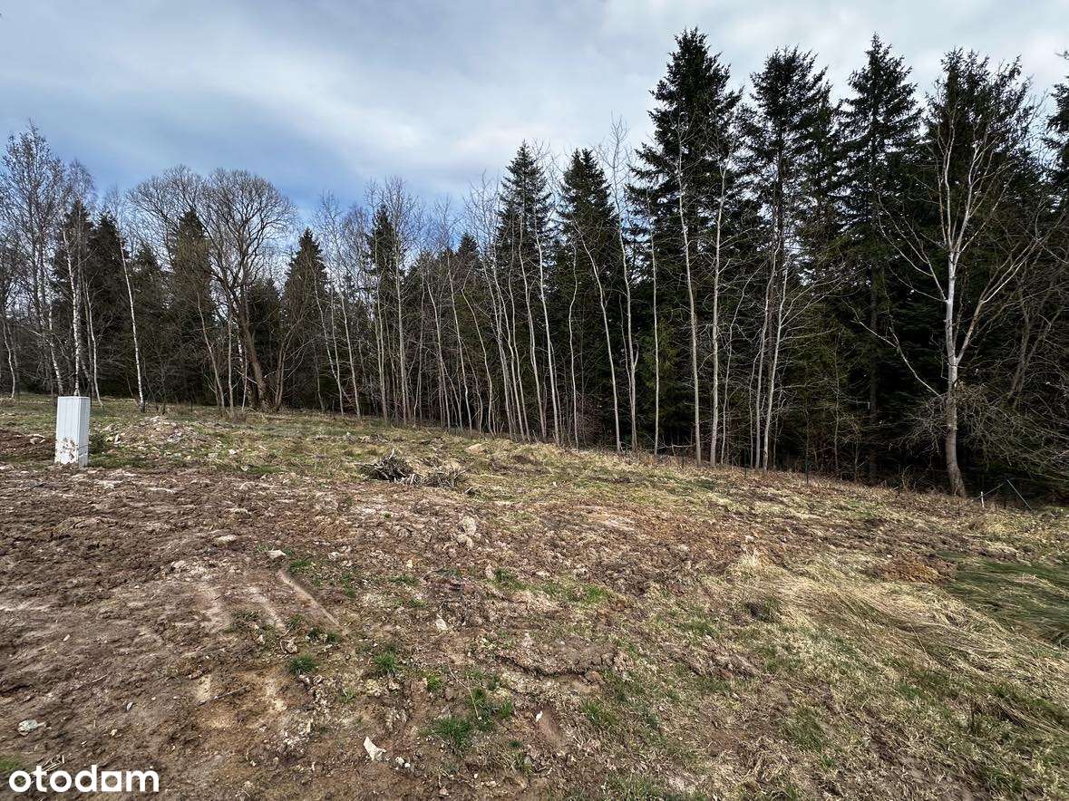Widokowa działka pod samym lasem w górach - Pełny obrazek: 4/5