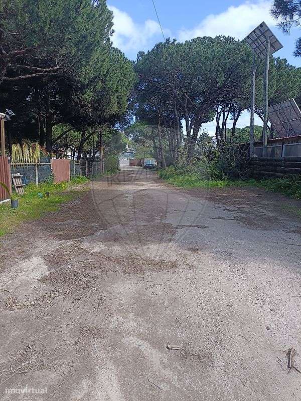 Terreno  para venda-3