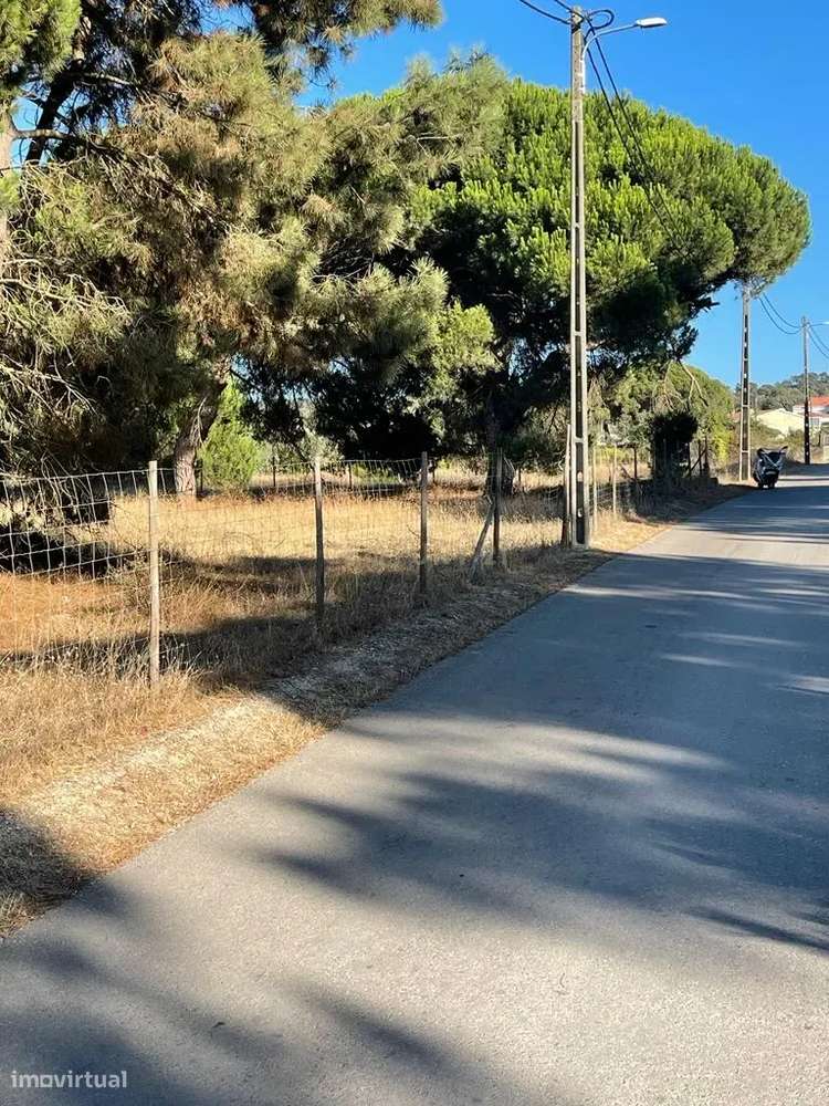 Sesimbra - Terreno rustico com capacidade construtiva - Grande imagem: 3/12