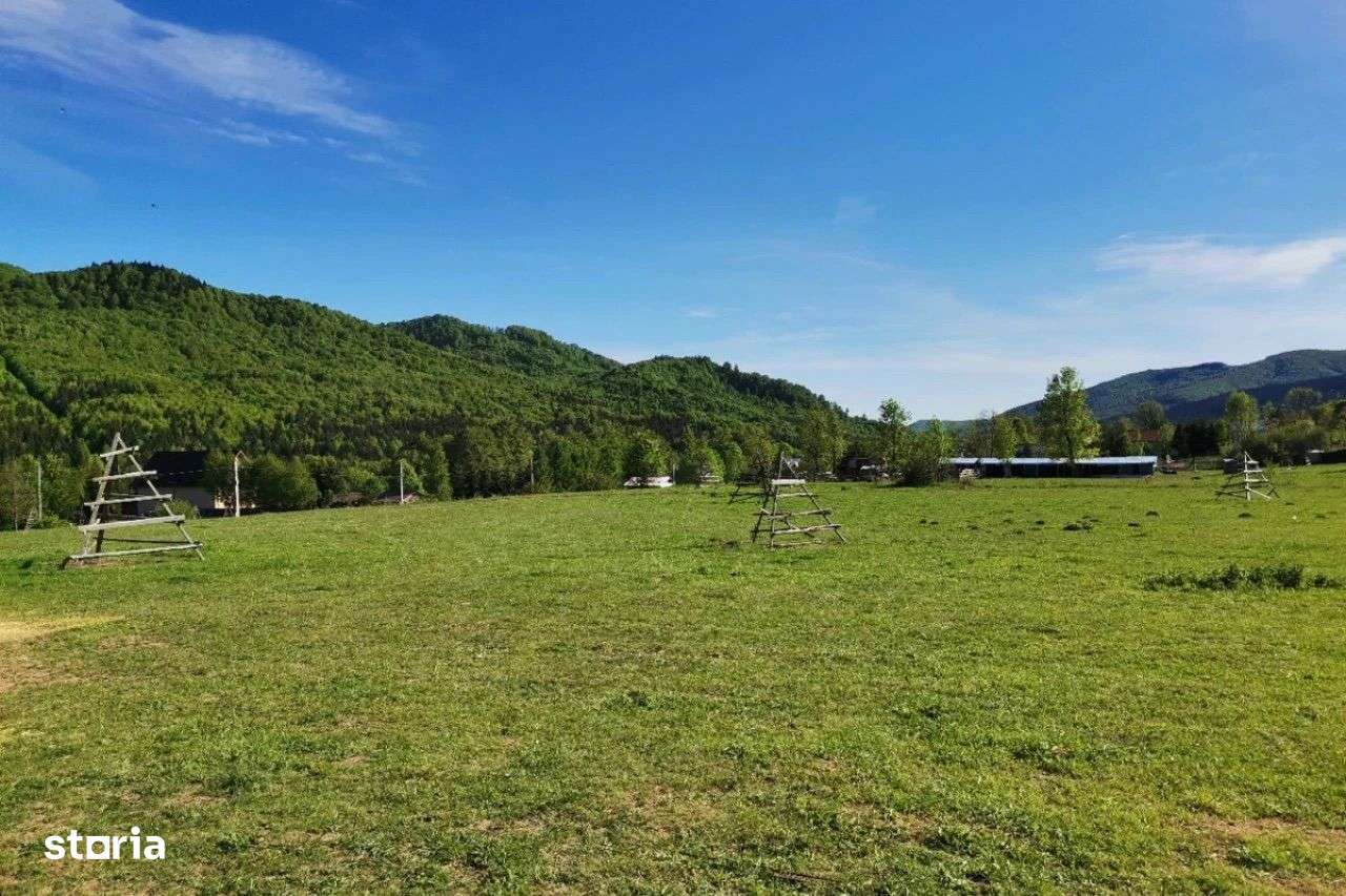 TEREN | 4.000 mp (2 loturi) | Valea Doftanei | ATRA DOFTANA - Imagine principală: 3/3