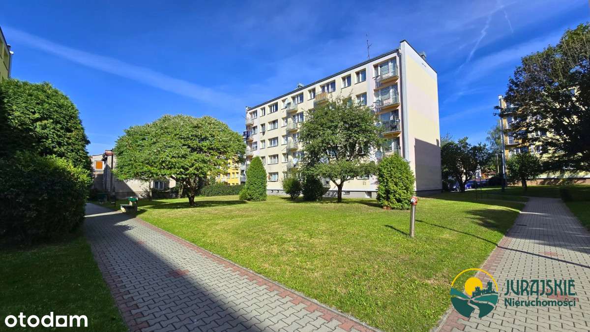 , Żbicka