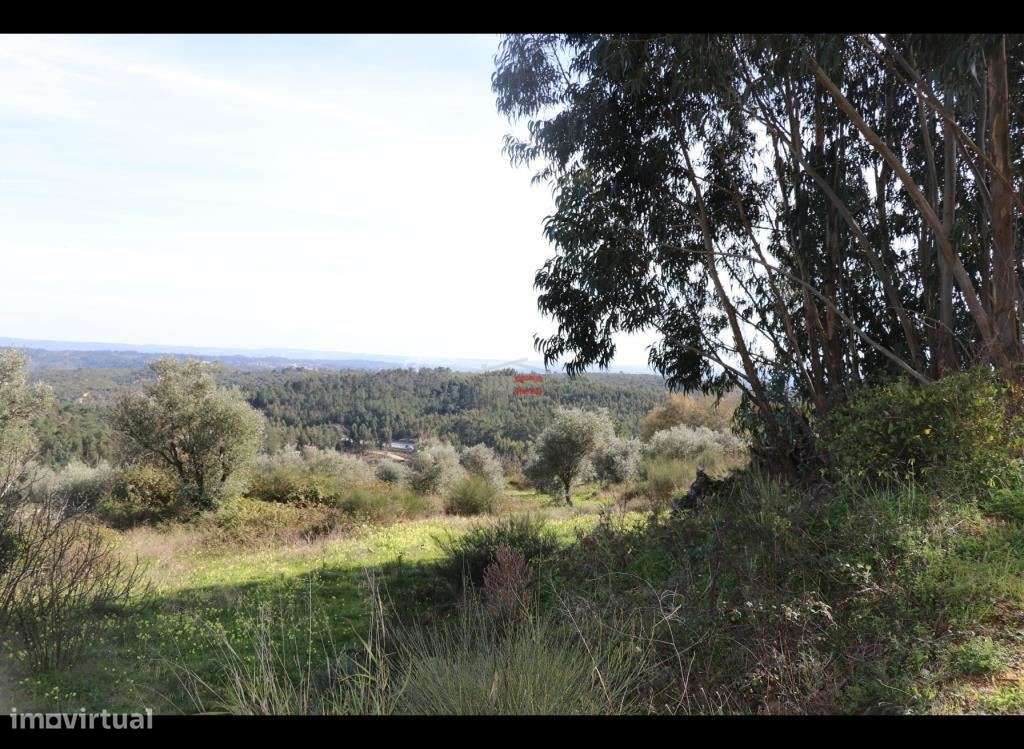 Terreno com possibilidade de construção - Grande imagem: 3/11
