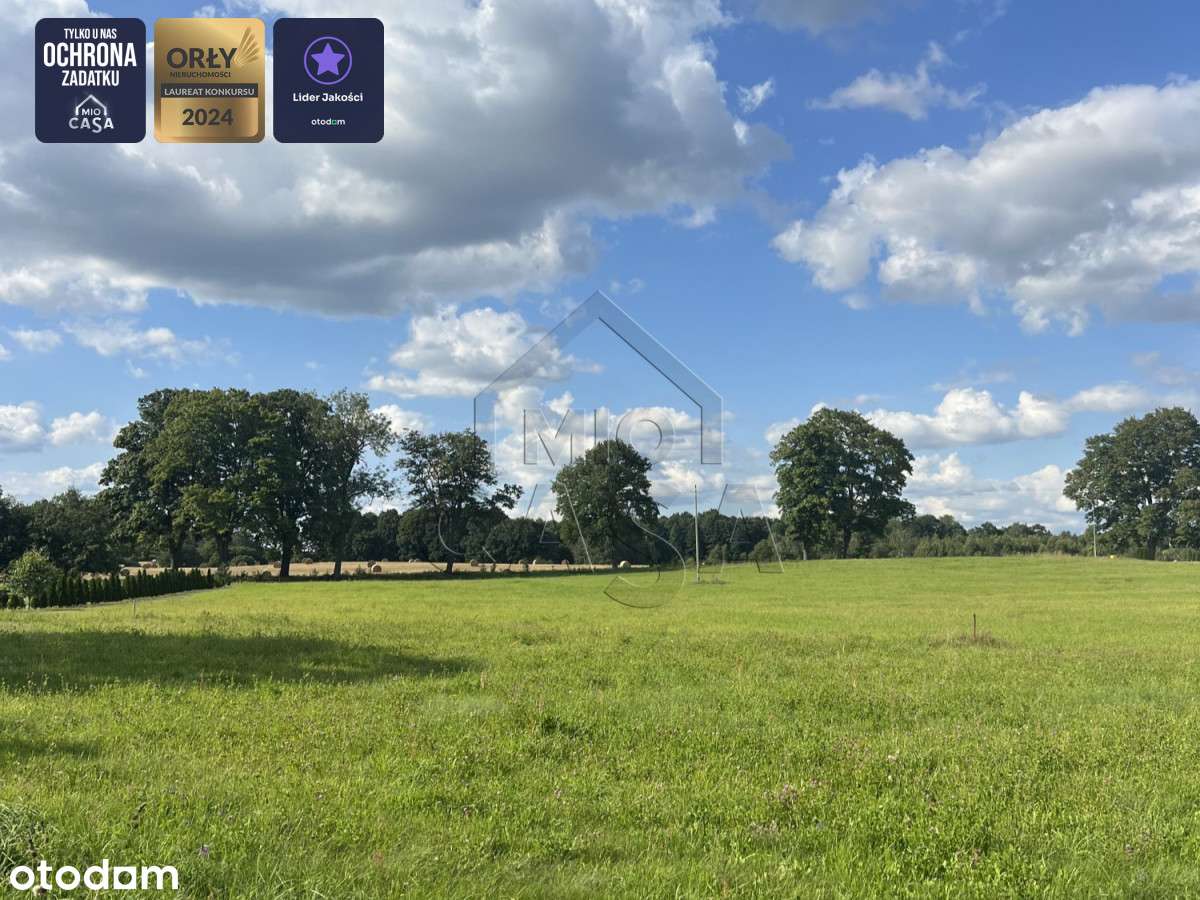 Działka położona 250m od Jeziora Puc - Kaszuby - Pełny obrazek: 3/10