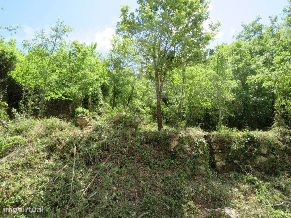 Terreno de construção de moradia rodeado de paisagens verdes - Grande imagem: 3/6