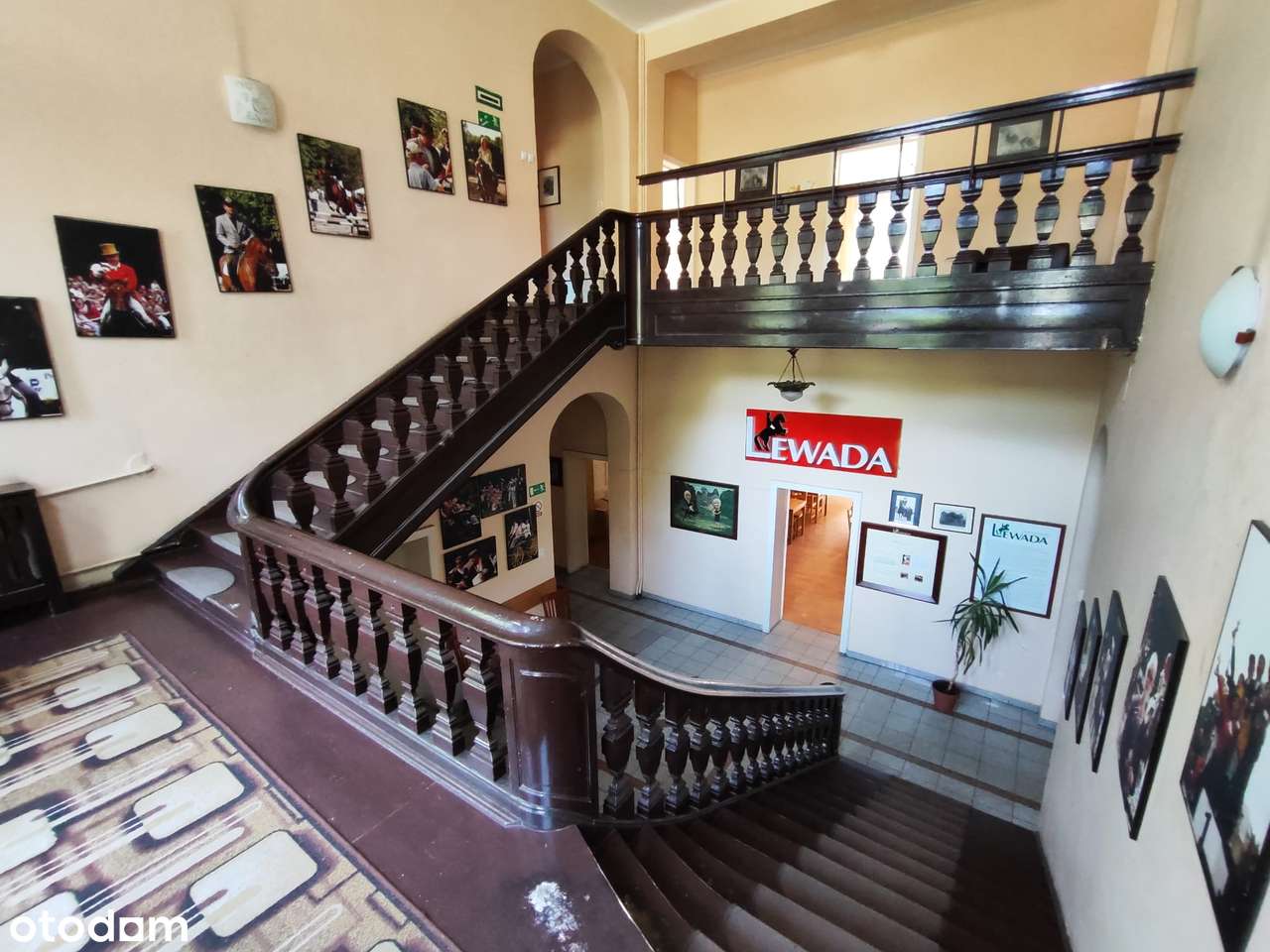 Pałac wraz z parkiem o powierzchni 9ha-8