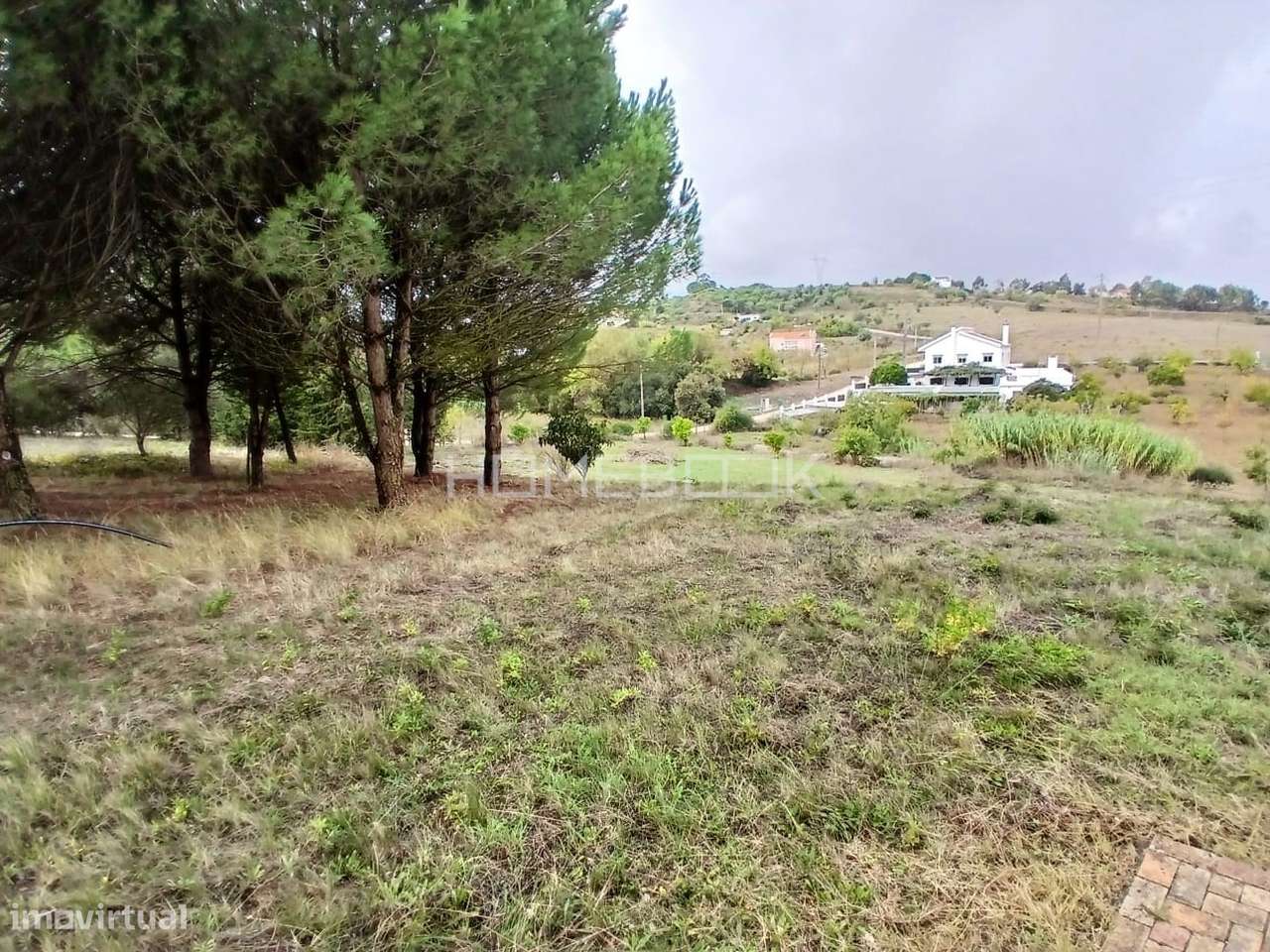 Quinta da Coutada Real - Grande imagem: 4/35