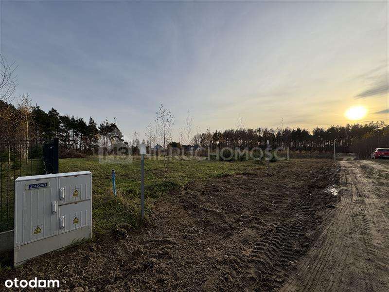 Działka przy lesie 3635 m2 - Lipinki Królewskie - Pełny obrazek: 3/6