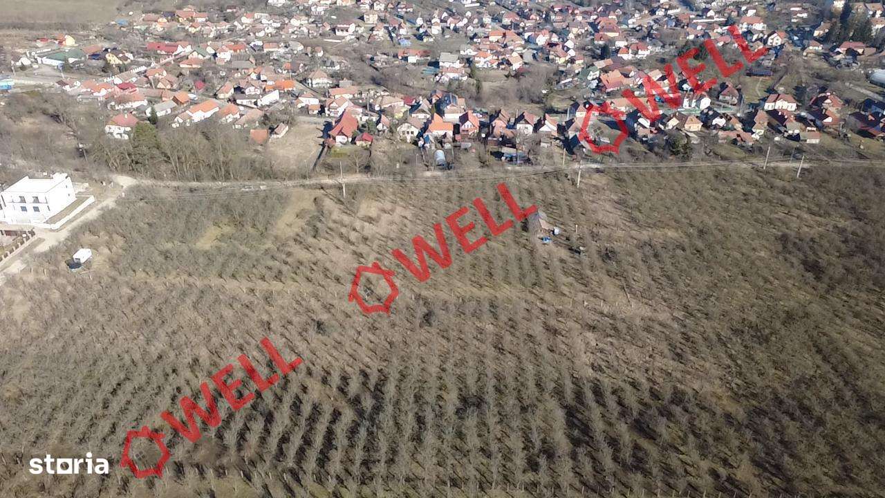 De vânzare 6 terenuri intravilane pentru construcții în Sf Gheorghe - Imagine principală: 5/5