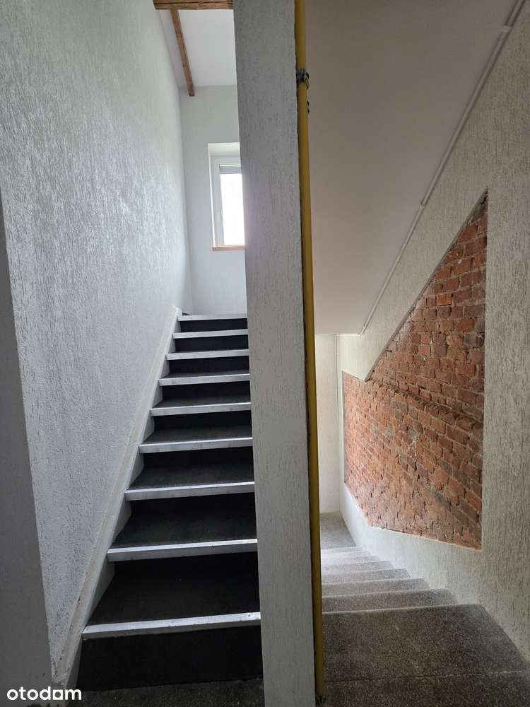 Romana 12 - M2+garderoba,-4