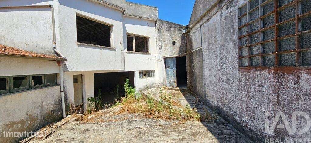 Loja / Estabelecimento Comercial em Minde de 1244,00 m2 - Grande imagem: 3/18