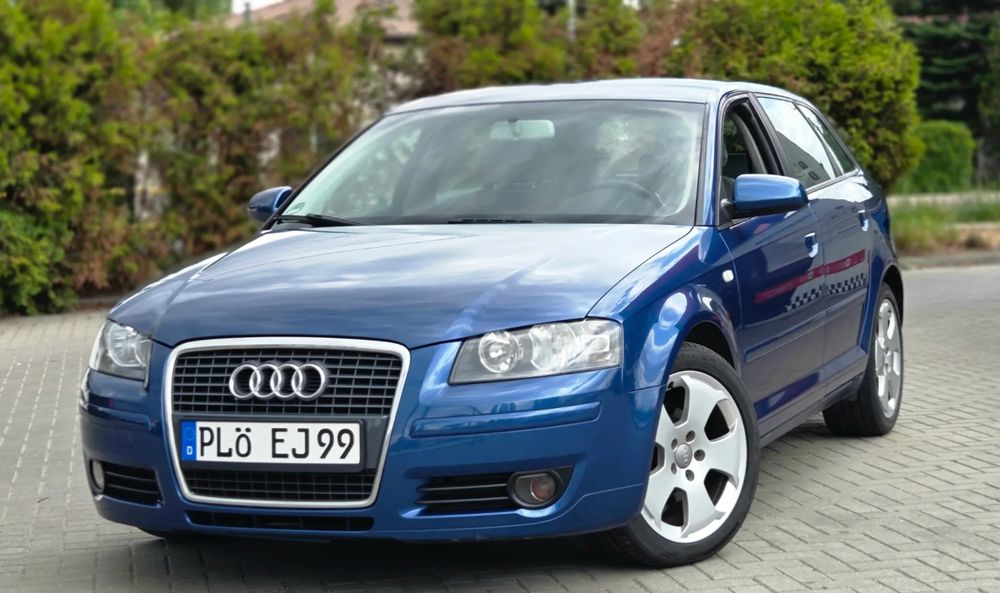 Audi A3 8P (2003-2012) 1.9 TDI Ambiente 2004